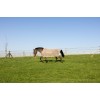 Kentucky Fly Rug with Belly Cover Comfort