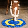 QHP Sniffing mat horses