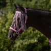 QHP SS26 Fly browband collection