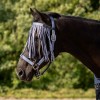 QHP SS26 Fly browband collection