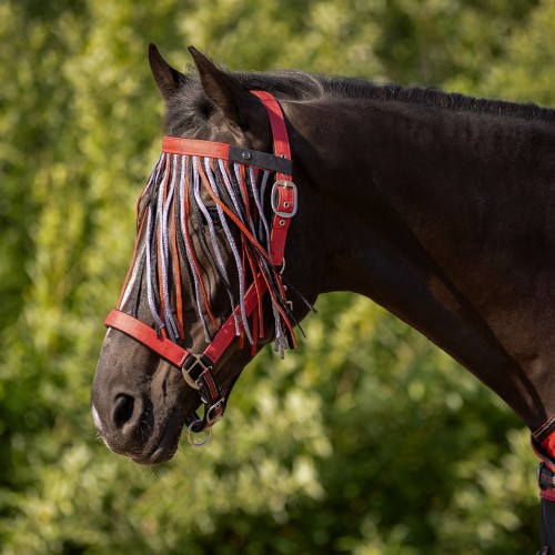 QHP SS26 Fly browband collection