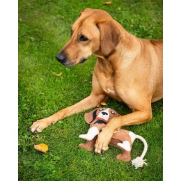 QHP Dog Toy денниковый Buddy