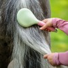 QHP Borstelset Lucky Start