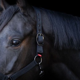 Imperial Riding SS26 недоуздок Yearling IRH