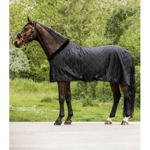 Waldhausen Showrug Exclusive