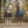 QHP FW25 Rain blanket 1200D turnout collection 150gr