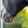 QHP Elastic neck protector with zipper