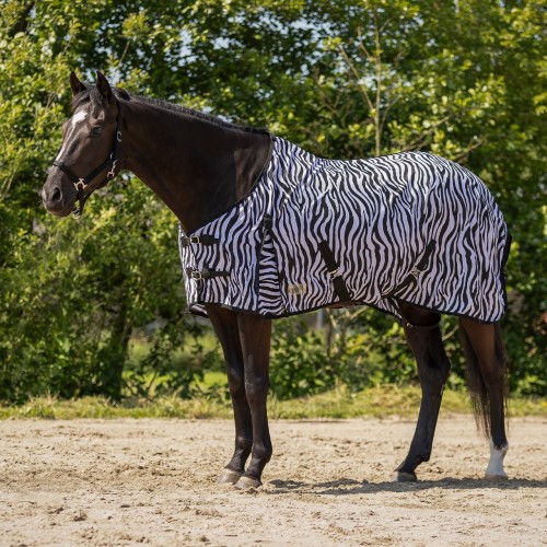 QHP Fly Sheet