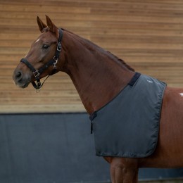 QHP Chest защитный Soft