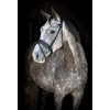 Catago SS26 Nival 26.1 bridle