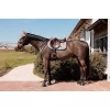 Kentucky Pied-de-Poule Jumping Saddle Pad