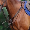 Passier Blu Breastplate Easy