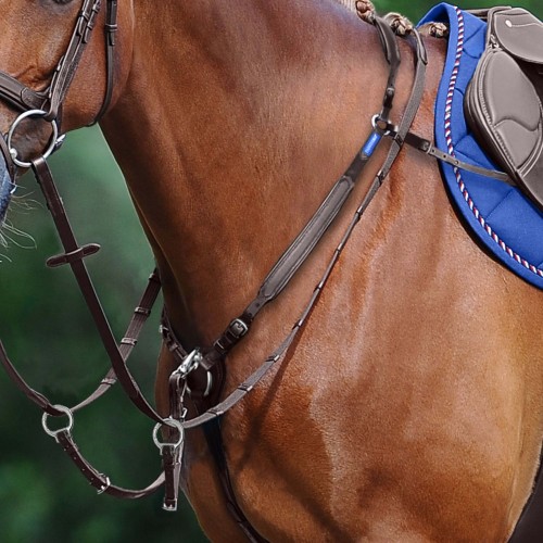 Passier Blu Breastplate Easy