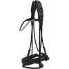 Catago SS26 Nival 26.1 bridle