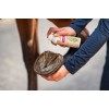 Bense & Eicke Frog and Hoof Spray 200ml