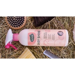 Ravene Easy Shine