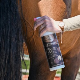 Ravene Detangling и Shine Spray Easy Shine