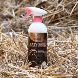 Ravene Detangling и Shine Spray Easy Shine