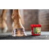 Kevin Bacon's Hoof Balm The Green