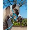 HB Halters Summer Vibes Small Sizes