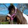 HB Halters Summer Vibes Small Sizes