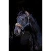 HB Funny Leopard Fleece Halter