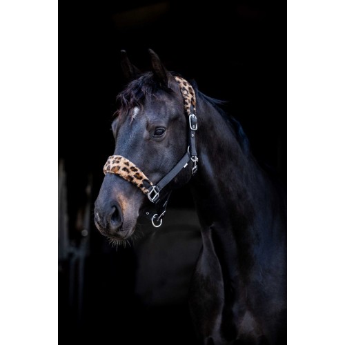 HB Funny Leopard Fleece Halter