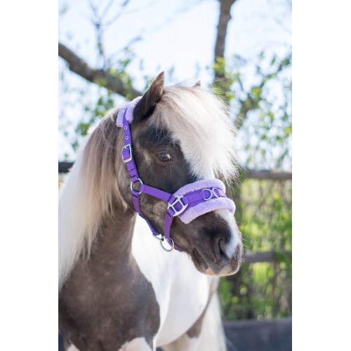HB Nylon Cavesson Halter