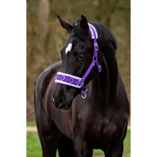 HB Nylon Cavesson Halter