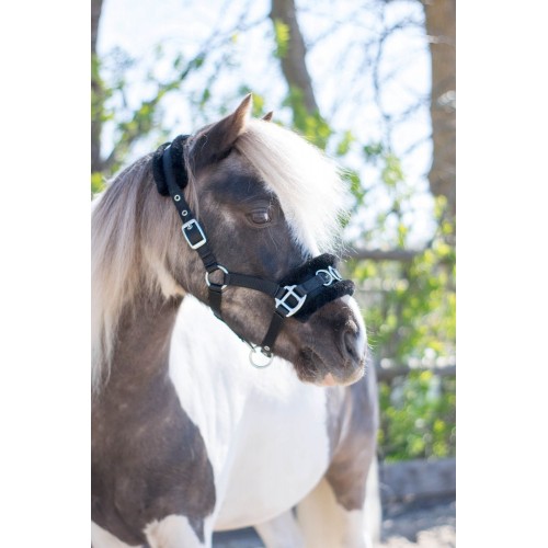 HB Nylon Caveson Halter Little Sizes