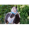 HB Nylon Halter Glitter Fleece Lined