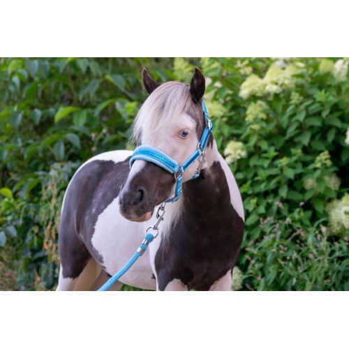 HB Nylon Halter Glitter Fleece Lined