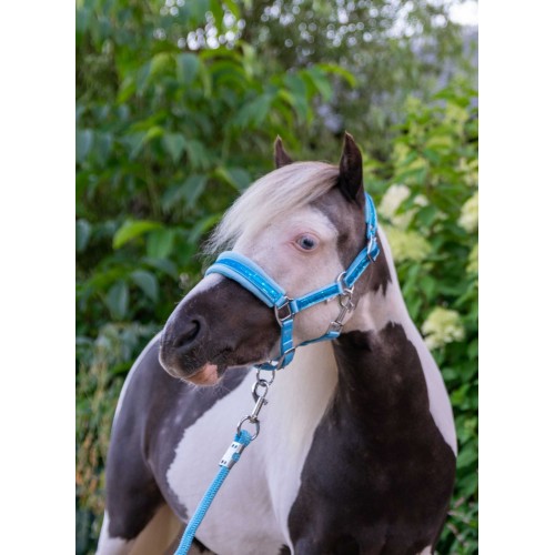 HB Nylon Halter Glitter Fleece Lined