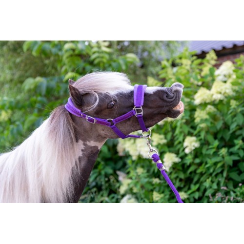HB Nylon Halter Glitter Fleece Lined