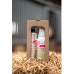 Bense & Eicke Gift комплект StarFinish Perfume-Free и Care Shampoo