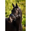 HB Showtime Leather Halter Grand Slam