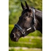 HB Showtime Leather Halter Grand Slam