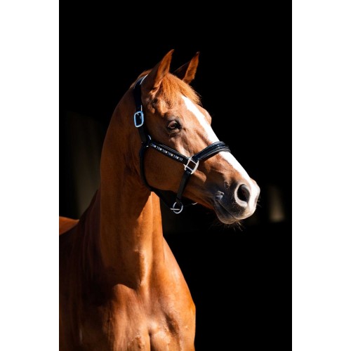 HB Showtime Leader Halter Rivet Swarovski