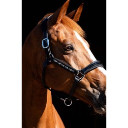 HB Showtime Leader недоуздок Rivet Swarovski
