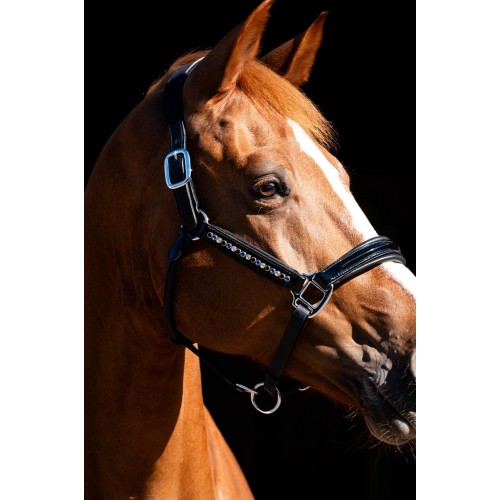 HB Showtime Leader Halter Rivet Swarovski