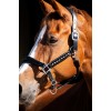 HB Showtime Leader Halter Rivet Swarovski