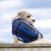 Back on Track Cooling Dog Blanket 2.0