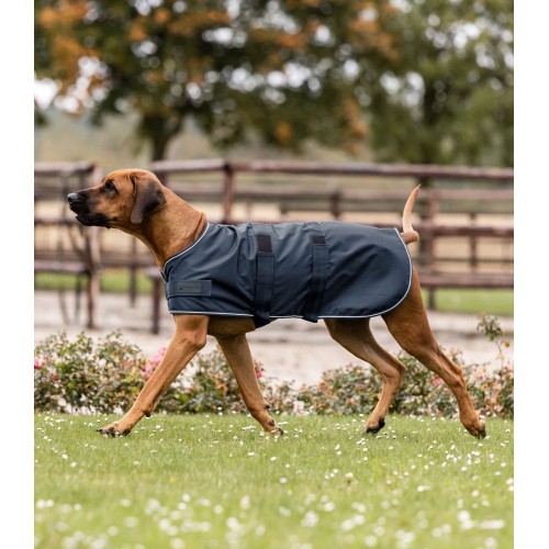 Waldhausen Rain Dog Rug