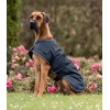 Waldhausen Rain Dog Rug