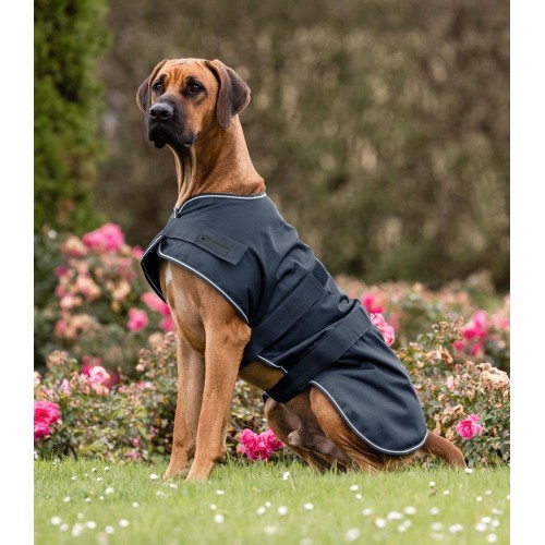 Waldhausen Rain Dog Rug
