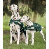 Waldhausen Rain Dog Rug