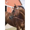 Westride Randol's Two-Tone Bridle