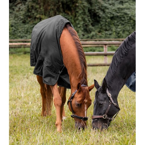 Waldhausen Nordic Turnout Rug