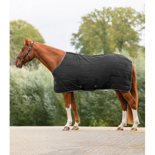 Waldhausen Economic Stable Rug