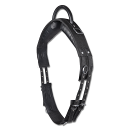 Waldhausen лонжировочный surcingle с handle